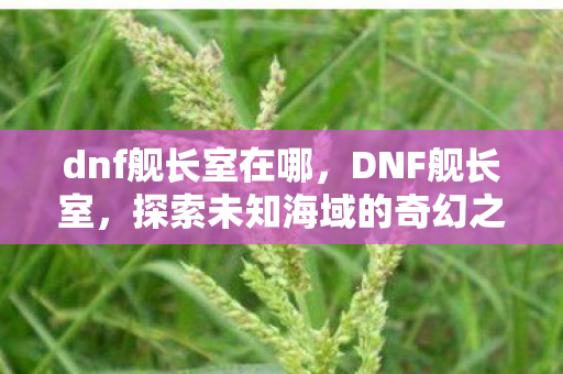 dnf舰长室在哪，DNF舰长室，探索未知海域的奇幻之旅