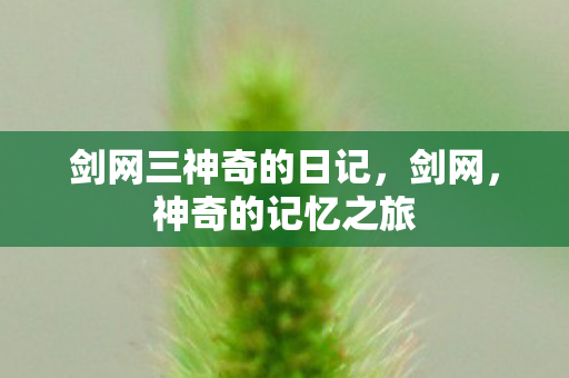 剑网三神奇的日记，剑网，神奇的记忆之旅