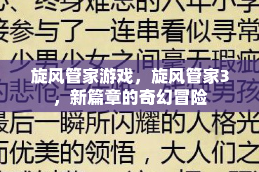 旋风管家游戏，旋风管家3，新篇章的奇幻冒险
