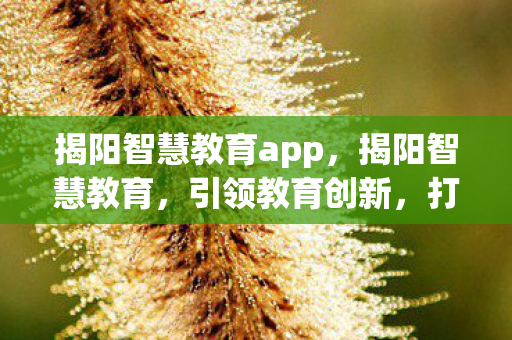 揭阳智慧教育app，揭阳智慧教育，引领教育创新，打造未来教育新生态