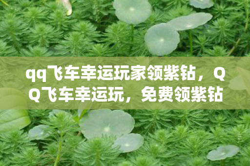 qq飞车幸运玩家领紫钻，QQ飞车幸运玩，免费领紫钻的奇妙之旅