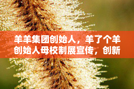 羊羊集团创始人，羊了个羊创始人母校制展宣传，创新精神的传承与展示