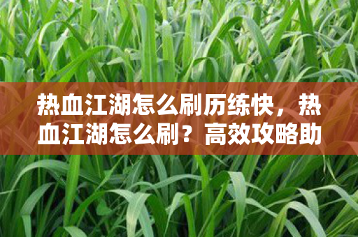 热血江湖怎么刷历练快，热血江湖怎么刷？高效攻略助你快速升级