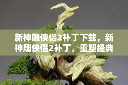 新神雕侠侣2补丁下载，新神雕侠侣2补丁，重塑经典，再续传奇
