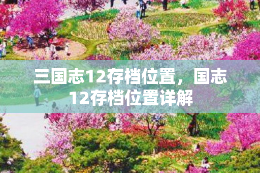 三国志12存档位置,国志12存档位置详解 三国志12存档位置,国志12存档位置详解