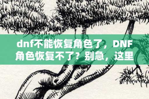 dnf不能恢复角色了，DNF角色恢复不了？别急，这里有解决办法！