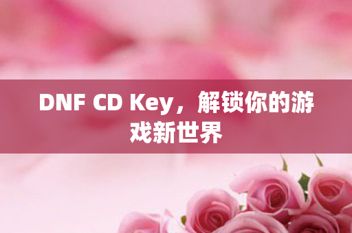 DNF CD Key，解锁你的游戏新世界