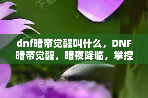dnf暗帝觉醒叫什么，DNF暗帝觉醒，暗夜降临，掌控暗影的王者