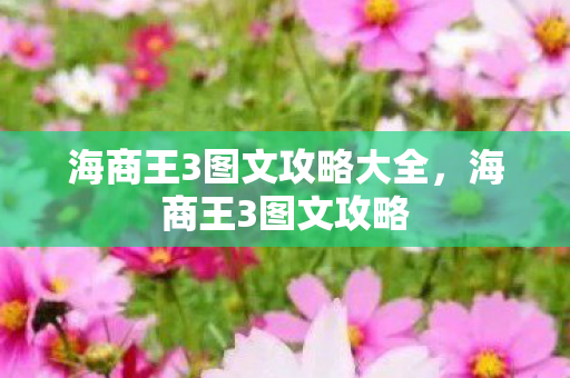 海商王3图文攻略大全，海商王3图文攻略