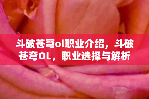 斗破苍穹ol职业介绍，斗破苍穹OL，职业选择与解析