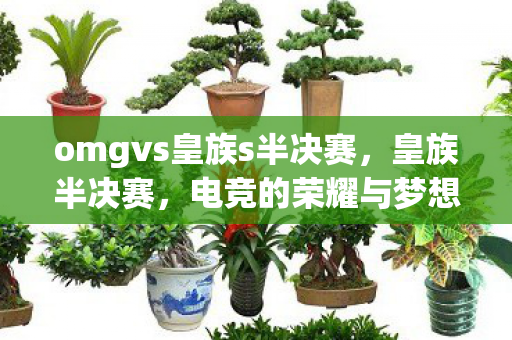 omgvs皇族s半决赛，皇族半决赛，电竞的荣耀与梦想