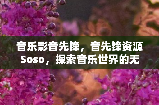 音乐影音先锋，音先锋资源Soso，探索音乐世界的无限可能