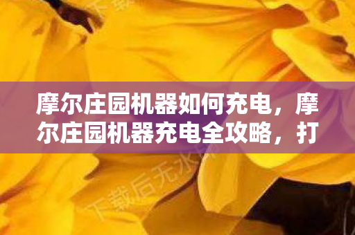 摩尔庄园机器如何充电，摩尔庄园机器充电全攻略，打造高效能源站