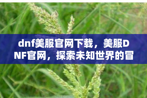 dnf美服官网下载，美服DNF官网，探索未知世界的冒险之旅