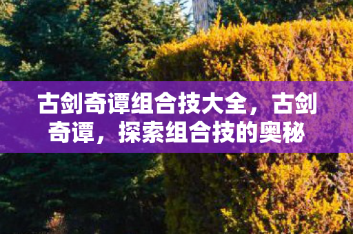 古剑奇谭组合技大全，古剑奇谭，探索组合技的奥秘