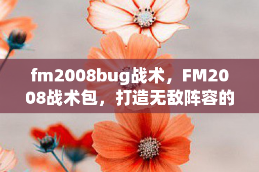fm2008bug战术，FM2008战术包，打造无敌阵容的秘籍