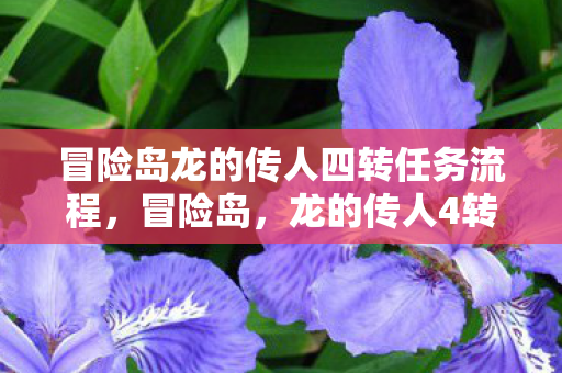 冒险岛龙的传人四转任务流程，冒险岛，龙的传人4转任务全解析