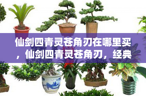 仙剑四青灵苍角刃在哪里买，仙剑四青灵苍角刃，经典游戏中的传奇武器