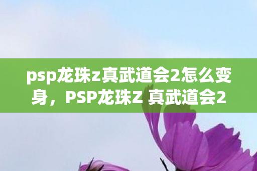 psp龙珠z真武道会2怎么变身，PSP龙珠Z 真武道会2经典重温，战斗与情怀的完美结合