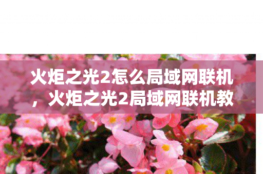 火炬之光2怎么局域网联机,火炬之光2局域网联机教程 火炬之光2怎么局域网联机,火炬之光2局域网联机教程