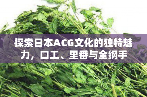探索日本ACG文化的独特魅力，口工、里番与全纲手