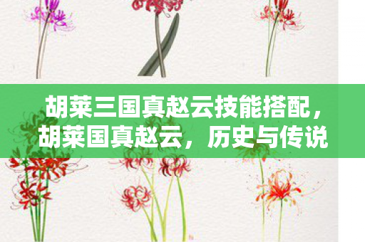 胡莱三国真赵云技能搭配,胡莱国真赵云,历史与传说中的英雄 胡莱三国真赵云技能搭配,胡莱国真赵云,历史与传说中的英雄