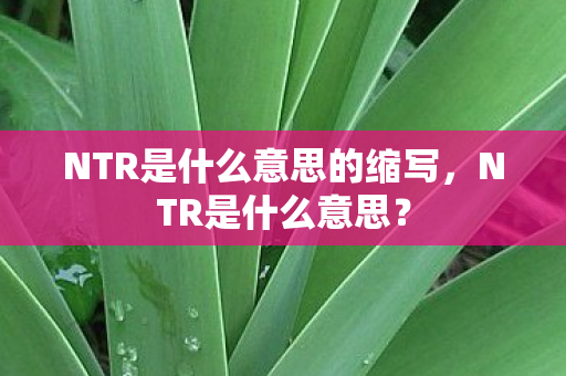 NTR是什么意思的缩写,NTR是什么意思? NTR是什么意思的缩写,NTR是什么意思?