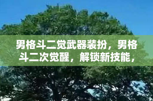 男格斗二觉武器装扮，男格斗二次觉醒，解锁新技能，重塑战斗体验