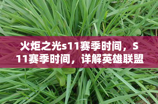 火炬之光s11赛季时间，S11赛季时间，详解英雄联盟新赛季的开启与结束