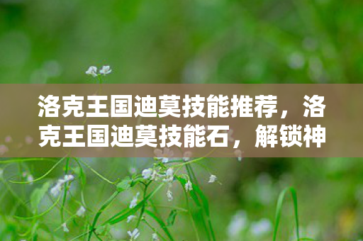 洛克王国迪莫技能推荐，洛克王国迪莫技能石，解锁神秘力量的钥匙