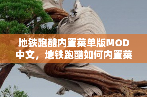 地铁跑酷内置菜单版MOD中文,地铁跑酷如何内置菜单 地铁跑酷内置菜单版MOD中文,地铁跑酷如何内置菜单