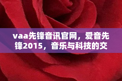 vaa先锋音讯官网，爱音先锋2015，音乐与科技的交响曲