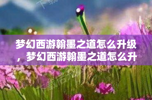 梦幻西游翰墨之道怎么升级，梦幻西游翰墨之道怎么升