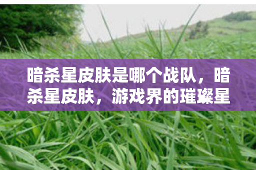 暗杀星皮肤是哪个战队,暗杀星皮肤,游戏界的璀璨星辰 暗杀星皮肤是哪个战队,暗杀星皮肤,游戏界的璀璨星辰