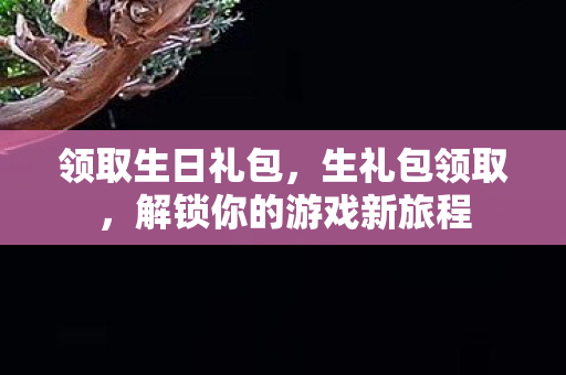 领取生日礼包，生礼包领取，解锁你的游戏新旅程