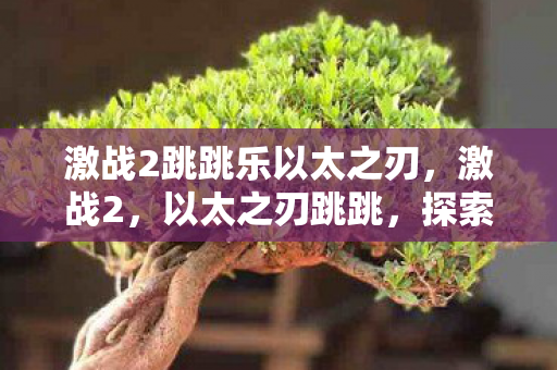 激战2跳跳乐以太之刃，激战2，以太之刃跳跳，探索无限可能的冒险之旅