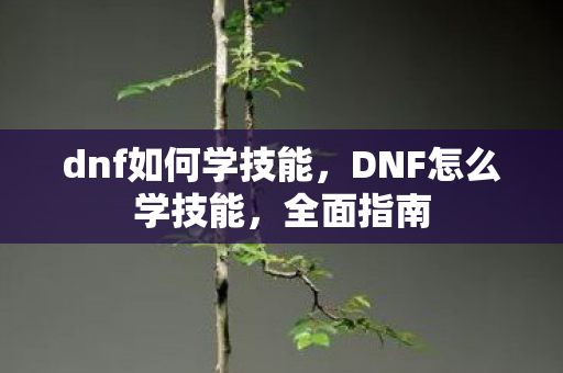 dnf如何学技能，DNF怎么学技能，全面指南