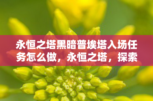 永恒之塔黑暗普埃塔入场任务怎么做，永恒之塔，探索黑暗普埃塔的神秘入场任务