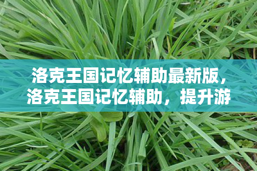 洛克王国记忆辅助最新版，洛克王国记忆辅助，提升游戏效率与乐趣的实用技巧