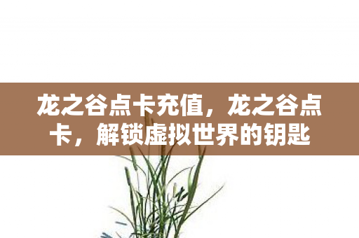 龙之谷点卡充值，龙之谷点卡，解锁虚拟世界的钥匙