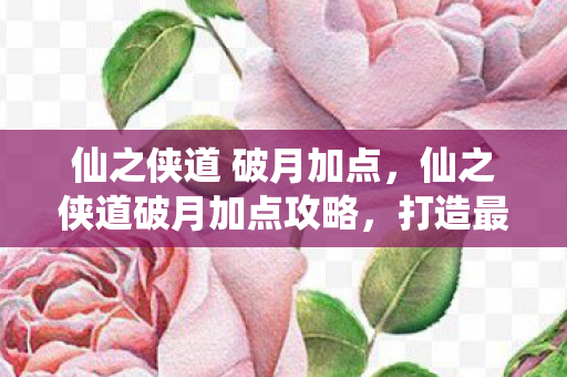 仙之侠道 破月加点,仙之侠道破月加点攻略,打造最强角色 仙之侠道 破月加点,仙之侠道破月加点攻略,打造最强角色