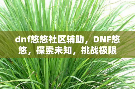 dnf悠悠社区辅助,DNF悠悠,探索未知,挑战极限 dnf悠悠社区辅助,DNF悠悠,探索未知,挑战极限