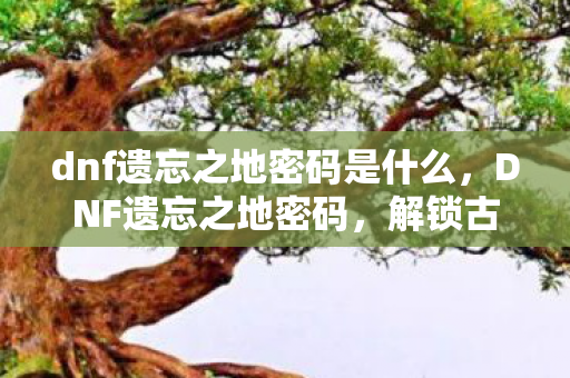 dnf遗忘之地密码是什么，DNF遗忘之地密码，解锁古老遗迹的谜题