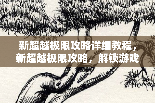 新超越极限攻略详细教程,新超越极限攻略,解锁游戏新境界 新超越极限攻略详细教程,新超越极限攻略,解锁游戏新境界