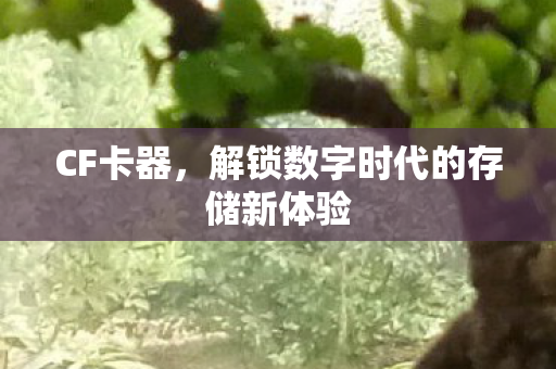 CF卡器，解锁数字时代的存储新体验