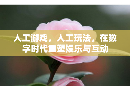 人工游戏，人工玩法，在数字时代重塑娱乐与互动