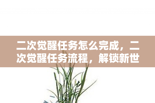 二次觉醒任务怎么完成，二次觉醒任务流程，解锁新世界的钥匙