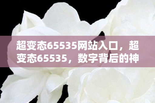 超变态65535网站入口，超变态65535，数字背后的神秘力量