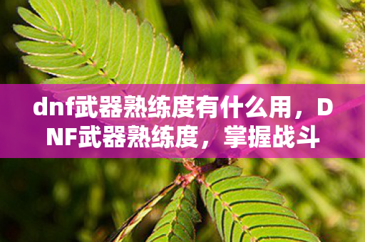 dnf武器熟练度有什么用，DNF武器熟练度，掌握战斗艺术的必经之路