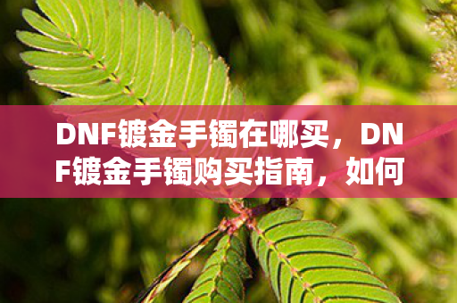 DNF镀金手镯在哪买，DNF镀金手镯购买指南，如何找到性价比最高的选择